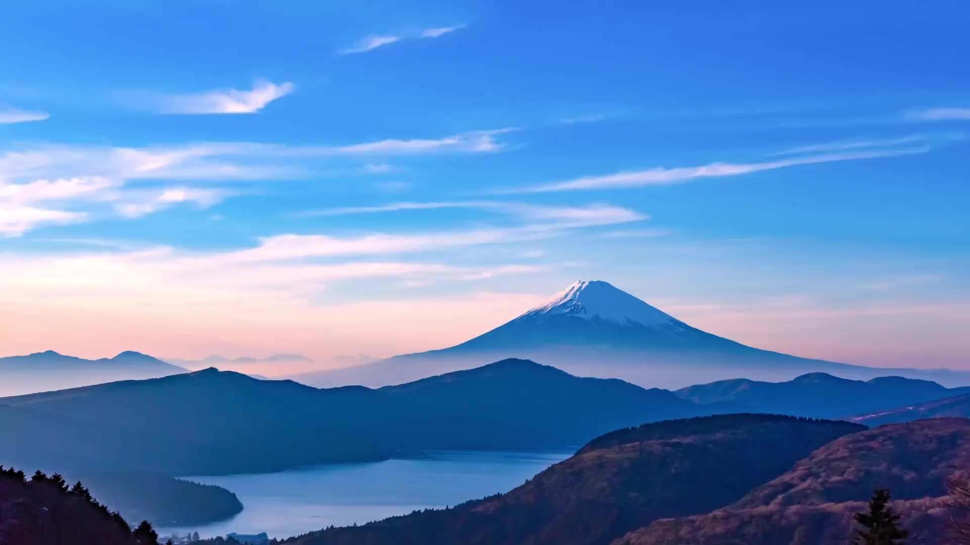 キャリアサポーターズ株式会社